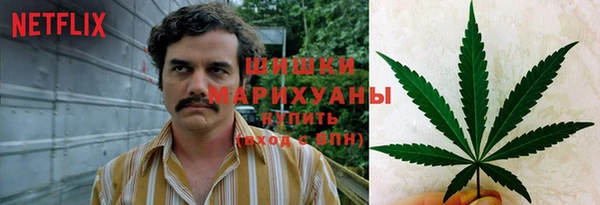 spice Алзамай