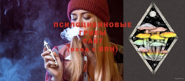 spice Алзамай