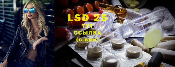 spice Алзамай
