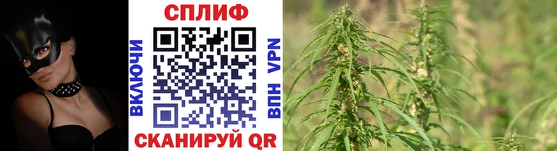 где можно купить наркотик  Полярные Зори  Шишки марихуана индика 